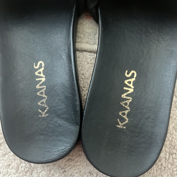 KAANAS slides - Picture 6 of 6